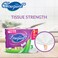 Sanita Bouquet Premium Kitchen Towel 3 Rolls x 3 ply