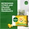 Dettol Fresh Bar Soap, Citrus &amp; Orange Blossom Scent, 165g