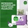 Dettol Sensitive Bar Soap, Lavender &amp; White Musk Scent, 165g