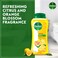 Dettol Fresh Shower Gel &amp; Body Wash, Citrus &amp; Orange Blossom, 250ml