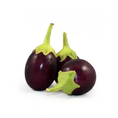 Eggplant Small Black