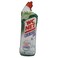 WC NET Mountain Fresh Toilet Cleaner Bleach Gel 750ml