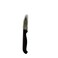 Parring Knife Maroon 3 inch