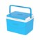 Cosmoplast Keep Cold Ice Box 5 Liter