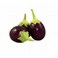 Eggplant Black Round Bahraini (Per Kg)
