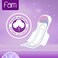 Fam Natural Cotton Feel Classic with Wings 40 Feminine Pads Super
