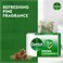 Dettol Original Bar Soap, Pine Scent, 165g