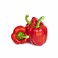 Capsicum Red Bahrain