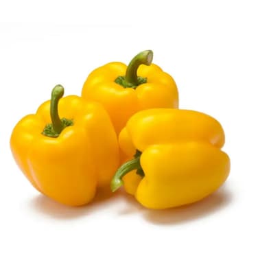 Capsicum Yellow Bahrain