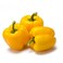Capsicum Yellow Bahrain