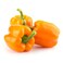 Capsicum Orange Bahrain