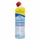 Clorox Bleach Gel and Cleaner, 750ml, Floral Magic