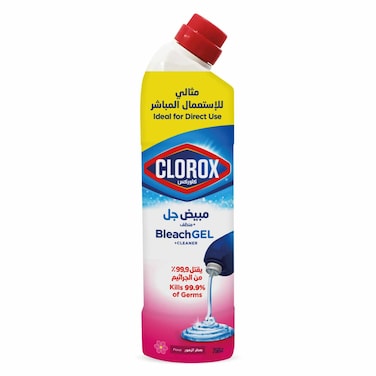 Clorox Bleach Gel and Cleaner, 750ml, Floral Magic