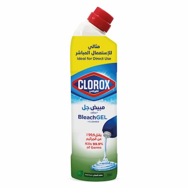 Clorox Bleach Gel and Cleaner, 750ml, Mint Freshness