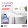 Clorox Mold &amp; Mildew Remover, 750ml