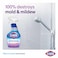 Clorox Mold &amp; Mildew Remover, 750ml