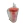 Elegant Jug With Cover