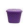 Akay Rattan Detergant Box