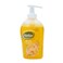 Radox Handwash Mandarin and Lemon 300ml