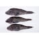 Fresh Sea Bass