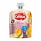 Nestle Cerelac Fruits Puree Pouch 6 Fruits 90g