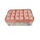 Nadec Strawberry Milk 18x125ml