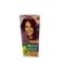 Garnier Clear Natural Pure Red 6.60 Hair Color