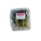 Fresh And Organic Lettuce Lollo Rossa 250g