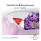 Clorox Scentiva Toilet Cleaner 709 ml, Tuscan Lavender