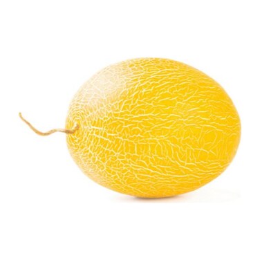Sweet Melon Iran