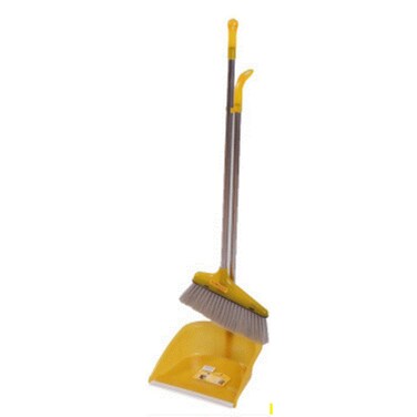 Elegant Broom Dustpin