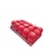 Mentos Gum Pure Frsnanobble17.5Gx15 Pieces