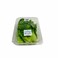 Dar Aqua Romaine Leave Box