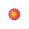 Throwing Disk 165mm