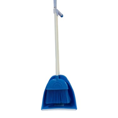 Elegant Broom and Dustpan
