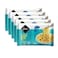 Jenan Noodles Chicken Baladi 5 x 75 gr