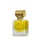 Raees Perfume Bakhour Concentrated Oil 20 Ml