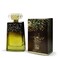 Fiza Noor Al Arab 100ml