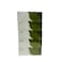 Ella Facial Tissue 200 Sheets 2Ply X 5