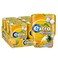 Extra Refreshment Bottle Tropical 67Gx6 Pieces