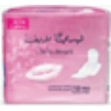 Lady Life Soft and Secure 10 Pads