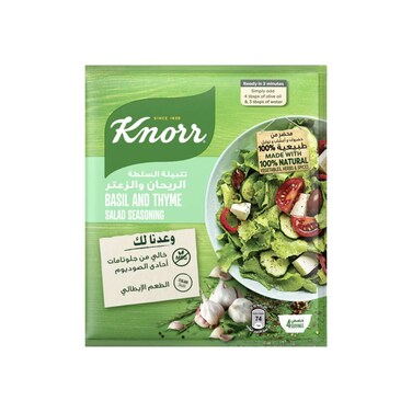 Knorr Basil and Thyme Salad Seasoning 40g