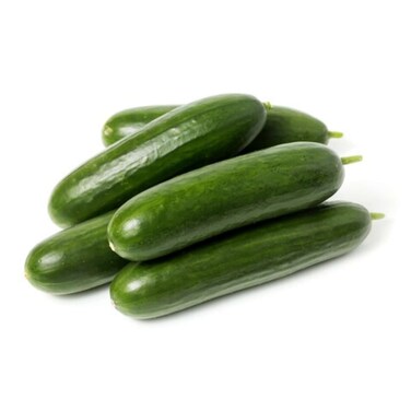 Dava Hydroponic Cucumber