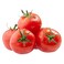 Dava Hydroponic Tomato