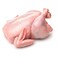 WHOLE CHICKEN KG