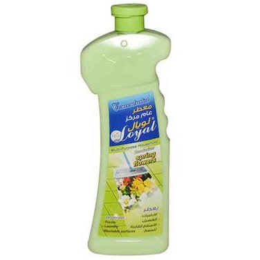 Loyal Multi Purpose Cleaner Deodorizer Spring 2.1L