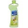 Loyal Multi Purpose Cleaner Deodorizer Spring 2.1L
