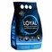 Loyal Powder Detergent  3Kg