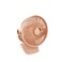 Trishi Clip Fan With Lighting