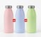 Generic Stainless Steel Double Wall Vacuum Bottle 500 ML